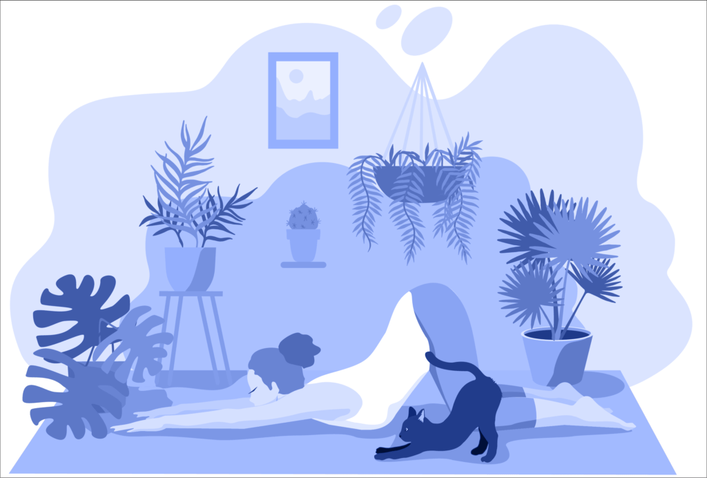 How to meditate—some basic meditations