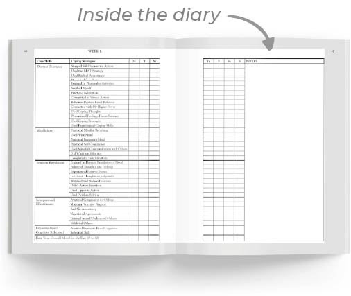 Inside the diary - image of open diary