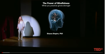 A Response to Shauna Shapiro’s TEDx Talk: The Power of Mindfulness